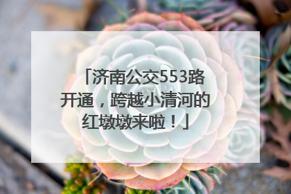 济南公交553路开通，跨越小清河的红墩墩来啦！