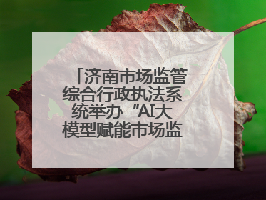 济南市场监管综合行政执法系统举办“AI大模型赋能市场监管”专题培训