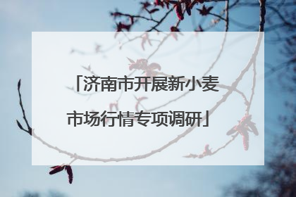 济南市开展新小麦市场行情专项调研