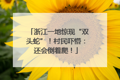 浙江一地惊现“双头蛇”！村民吓懵：还会倒着爬！