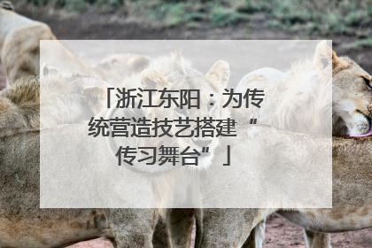 浙江东阳：为传统营造技艺搭建“传习舞台”