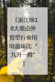 浙江前10大重点外贸型行业用电量环比“九升一降”