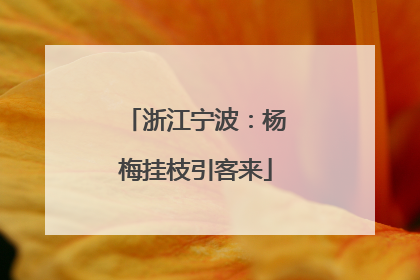 浙江宁波：杨梅挂枝引客来