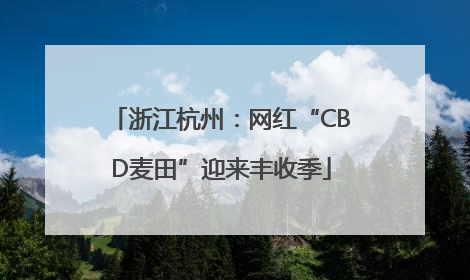 浙江杭州：网红“CBD麦田”迎来丰收季