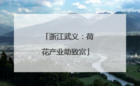 浙江武义：荷花产业助致富