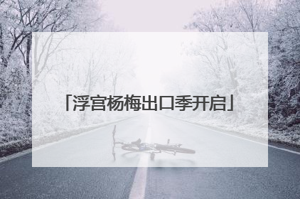 浮宫杨梅出口季开启