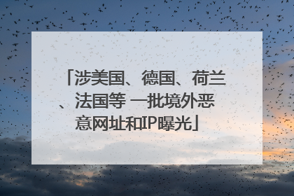 涉美国、德国、荷兰、法国等 一批境外恶意网址和IP曝光