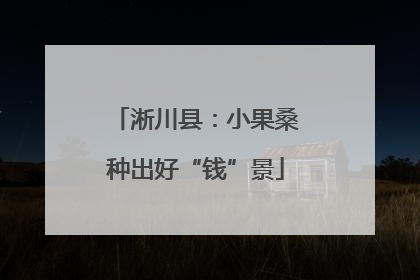 淅川县：小果桑种出好“钱”景