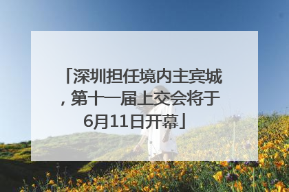 深圳担任境内主宾城，第十一届上交会将于6月11日开幕