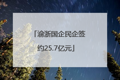 渝浙国企民企签约25.7亿元