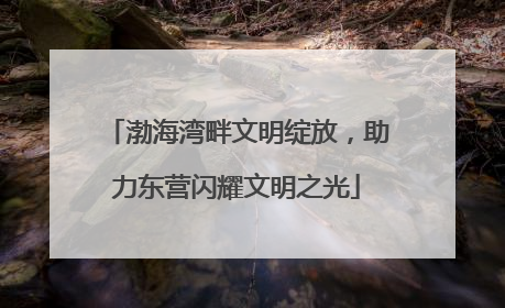 渤海湾畔文明绽放，助力东营闪耀文明之光