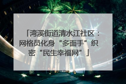 湾溪街道清水江社区：网格员化身“多面手”织密“民生幸福网”