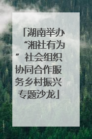 湖南举办“湘社有为”社会组织协同合作服务乡村振兴专题沙龙