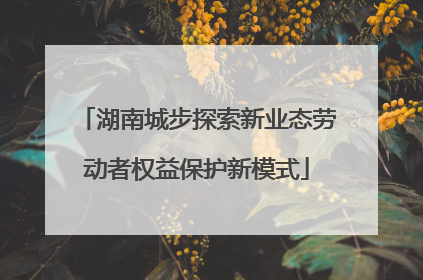 湖南城步探索新业态劳动者权益保护新模式