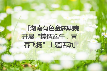 湖南有色金属职院开展“粽情端午，青春飞扬”主题活动