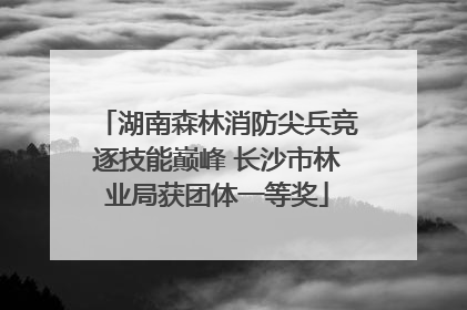湖南森林消防尖兵竞逐技能巅峰 长沙市林业局获团体一等奖