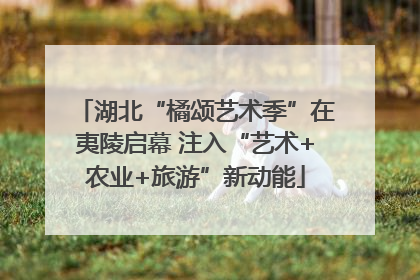 湖北“橘颂艺术季”在夷陵启幕 注入“艺术+农业+旅游”新动能