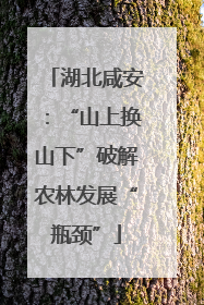 湖北咸安：“山上换山下”破解农林发展“瓶颈”