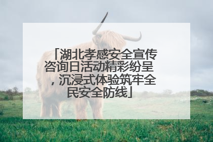 湖北孝感安全宣传咨询日活动精彩纷呈，沉浸式体验筑牢全民安全防线