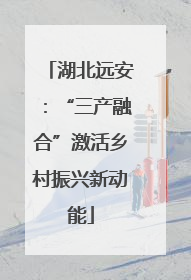湖北远安：“三产融合”激活乡村振兴新动能