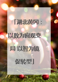 湖北黄冈：以数为窗观变局 以智为镜促转型