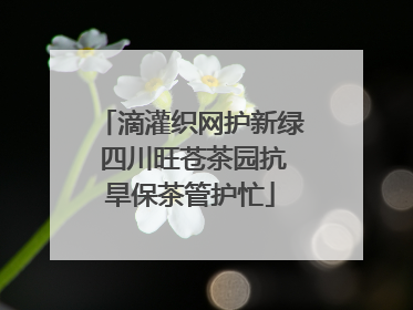 滴灌织网护新绿 四川旺苍茶园抗旱保茶管护忙