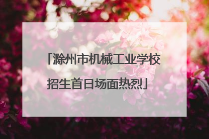 滁州市机械工业学校招生首日场面热烈