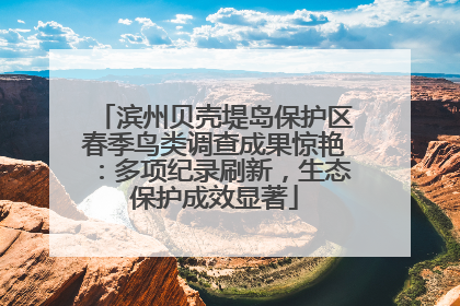 滨州贝壳堤岛保护区春季鸟类调查成果惊艳：多项纪录刷新，生态保护成效显著