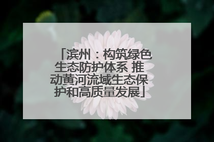 滨州：构筑绿色生态防护体系 推动黄河流域生态保护和高质量发展