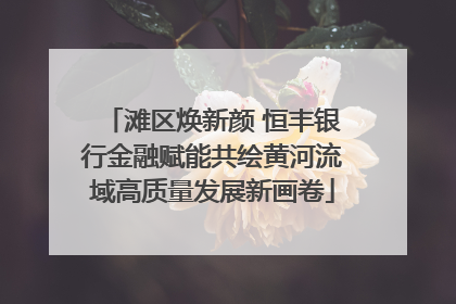 滩区焕新颜 恒丰银行金融赋能共绘黄河流域高质量发展新画卷