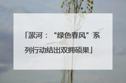 漯河：“绿色春风”系列行动结出双拥硕果