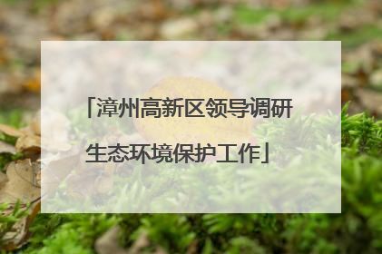 漳州高新区领导调研生态环境保护工作