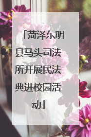 菏泽东明县马头司法所开展民法典进校园活动