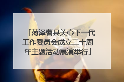 菏泽曹县关心下一代工作委员会成立二十周年主题活动展演举行