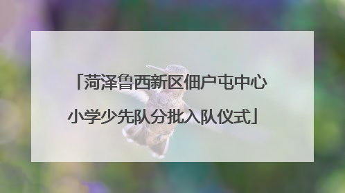 菏泽鲁西新区佃户屯中心小学少先队分批入队仪式