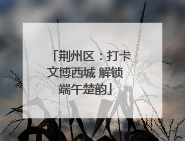 荆州区：打卡文博西城 解锁端午楚韵