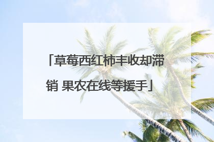 草莓西红柿丰收却滞销 果农在线等援手
