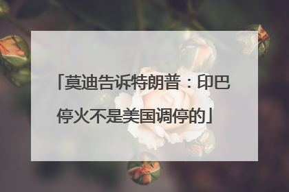 莫迪告诉特朗普：印巴停火不是美国调停的