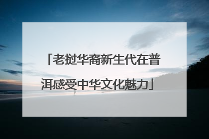老挝华裔新生代在普洱感受中华文化魅力