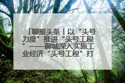 聊报头条丨以“头号力度”推进“头号工程”——聊城深入实施工业经济“头号工程”打造经济发展强引擎