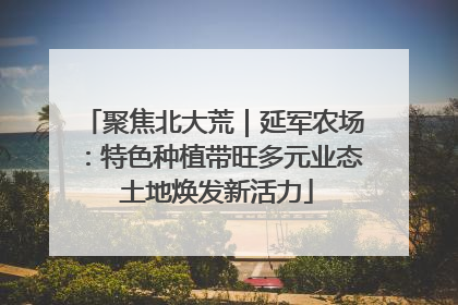 聚焦北大荒｜延军农场：特色种植带旺多元业态 土地焕发新活力