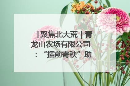 聚焦北大荒｜青龙山农场有限公司：“插前寄秧”助力农业节本增效