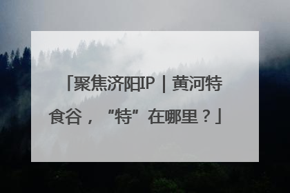 聚焦济阳IP｜黄河特食谷，“特”在哪里？