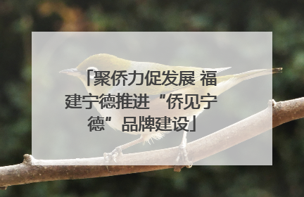 聚侨力促发展 福建宁德推进“侨见宁德”品牌建设