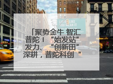聚势金牛 智汇普陀〡“始发站”发力、“创新田”深耕，普陀科创“金牛”闪耀