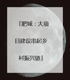 肥城：大项目建设串起乡村振兴链