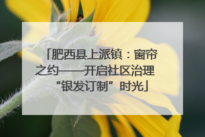 肥西县上派镇：窗帘之约——开启社区治理“银发订制”时光