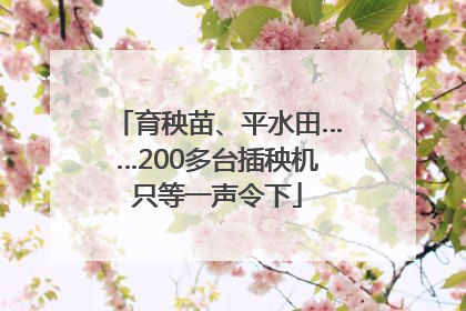 育秧苗、平水田……200多台插秧机只等一声令下