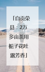 自贡荣县：2万多亩茶用栀子花吐露芳香