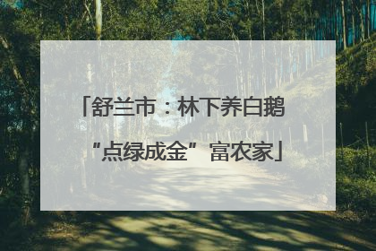 舒兰市：林下养白鹅 “点绿成金”富农家